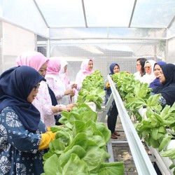 Lewat BRInita, Kampung Hijau Kemuning Tangerang Disulap Jadi Produktif