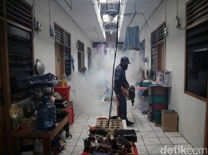 DBD Tembus 62 Ribu Kasus, Nyaris Naik Tiga Kali Lipat dibandingkan 2023