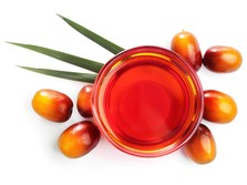Minyak Makan Merah dan Masa Depan Hilirisasi Kelapa Sawit Indonesia