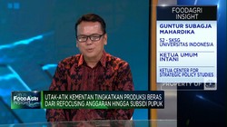 Video: Kejar Produksi Beras 32 Juta Ton, Petani Terkendala Pupuk-Benih
