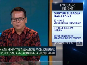 Video: Kejar Produksi Beras 32 Juta Ton, Petani Terkendala Pupuk-Benih