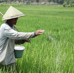 Kabar Baik Buat Petani! Sri Mulyani Segera Rilis SK Pupuk Subsidi