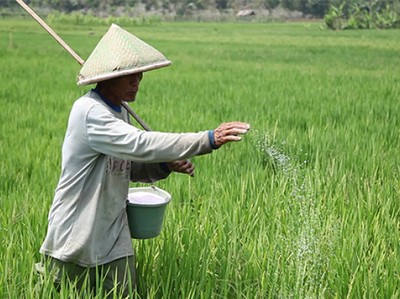 10 Pemasok Pupuk Impor Indonesia, Terbesar China