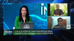 Video:Produksi Beras RI Terhambat Masalah Lahan & Kesejahteraan Petani