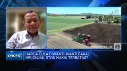 Video: Waspada Harga Gula Melonjak Efek Stok Menipis, Ada Solusi?