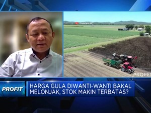 Video: Waspada Harga Gula Melonjak Efek Stok Menipis, Ada Solusi?