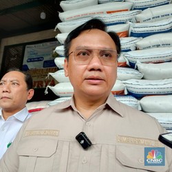 Ombudsman: RI Butuh Impor Beras, Terima Saja Kenyataannya!