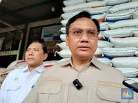 Ombudsman: RI Butuh Impor Beras, Terima Saja Kenyataannya!