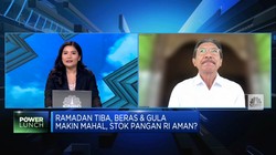 Video: Asosiasi Cemas Impor Gula Jelang Panen Raya Tekan Harga Petani