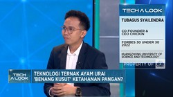 Video: Cara Chickin Bantu Modal Peternak Ayam & Perluas Akses Pasar