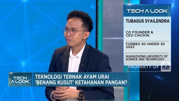 Video: Cara Chickin Bantu Modal Peternak Ayam & Perluas Akses Pasar