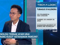 Video: Cara Chickin Bantu Modal Peternak Ayam & Perluas Akses Pasar