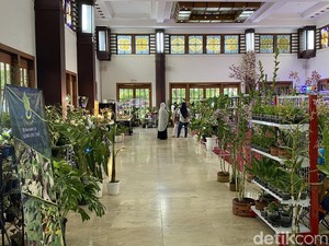 Yuk Berburu Tanaman Hias Saat Weekend di Kembang Setaman Festival Surabaya