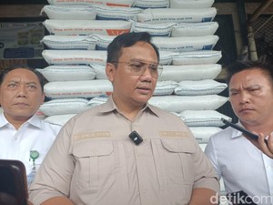 Ombudsman: Indonesia Rata-rata Impor Beras, Terima Saja Kenyataannya