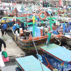 Penampakan Ratusan Kapal Nelayan Menumpuk di Kalibaru, Ada Apa?