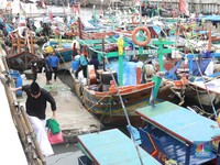 Penampakan Ratusan Kapal Nelayan Menumpuk di Kalibaru, Ada Apa?