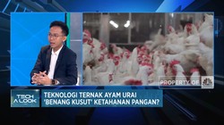Video: Teknologi Chickin Tekan Biaya Produksi & Logistik Ternak Ayam