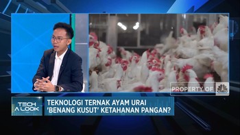 Video: Teknologi Chickin Tekan Biaya Produksi & Logistik Ternak Ayam