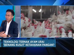 Video: Teknologi Chickin Tekan Biaya Produksi & Logistik Ternak Ayam