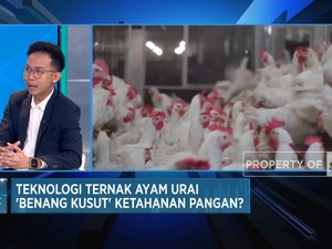 Video: Teknologi Chickin Tekan Biaya Produksi & Logistik Ternak Ayam