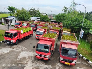Asyik! Ribuan LPG 3 Kilogram Didistribusikan ke Pangkalan di Blora