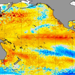 El Nino Kedua Ditemukan di Dekat RI, Begini Dampaknya