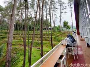 Ngabuburit di Menoreh Dreamland Kulon Progo, Kulineran dengan View Hutan Pinus
