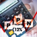 Ekonom: PPN Naik, Bukti Pemerintah Masih Berburu di Kebun Binatang
