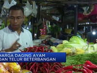Video: Mendag Cek Harga Sembako, Beras Turun Telur Masih Tinggi