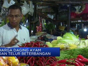 Video: Mendag Cek Harga Sembako, Beras Turun Telur Masih Tinggi