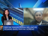 Minyak Makan Merah Meluncur, Pemerintah Berdayakan Koperasi & UMKM
