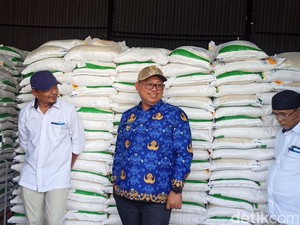 Pemkot Palopo Mau Ubah Sagu Jadi Beras demi Dukung Diversifikasi Pangan