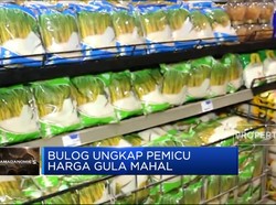 Ini Lho Bund, Kenapa Harga Gula Melambung Versi BULOG