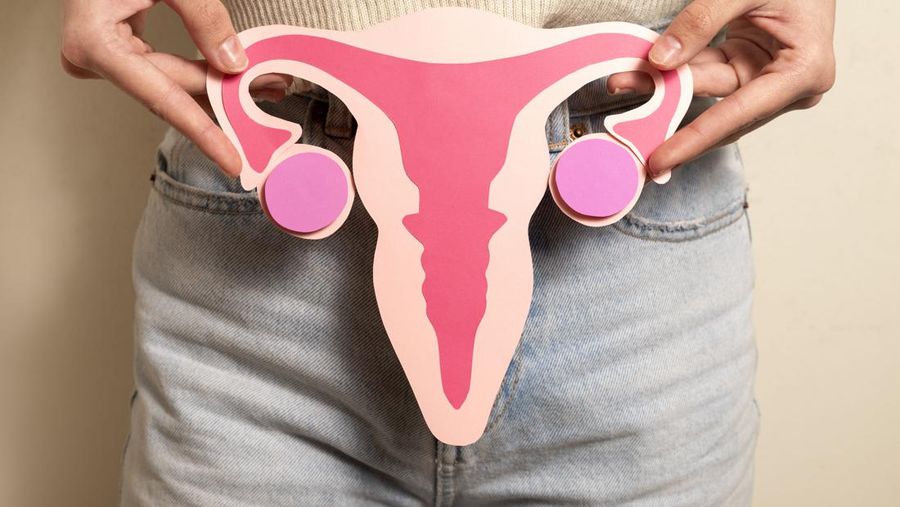 Ilustrasi rahim. (Dok. Freepik)
