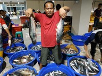Simak Aturan Lengkap Penghapusan Utang UMKM, Petani Hingga Nelayan