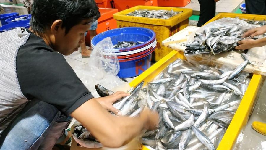 Ilustrasi stok ikan jelang Idul Fitri. (Dok. PT Perikanan Indonesia)
