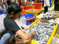 Sri Mulyani Bebaskan Bea Masuk Bibit hingga Benih Ikan-Hewan Ternak