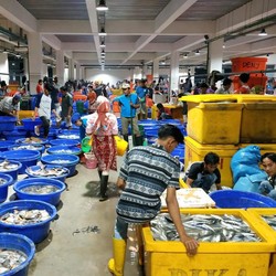10 Ikan Dengan Kandungan Merkuri Tinggi, Wajib Cek Sebelum Beli