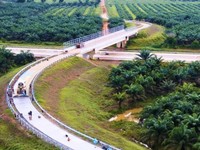 Prabowo Bakal Panen Tol Trans Sumatera, Palembang-Jambi Nyambung 2025