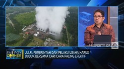 Jurus RI Gantikan Bahan Bakar Fosil dengan 