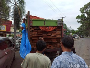 Tergiur Upah Tinggi, Sopir Truk di Bengkulu Selundupkan Kayu ke Jakarta