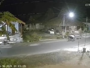 Beras Mahal, Maling di Ponorogo Terekam CCTV Curi Gabah Warga