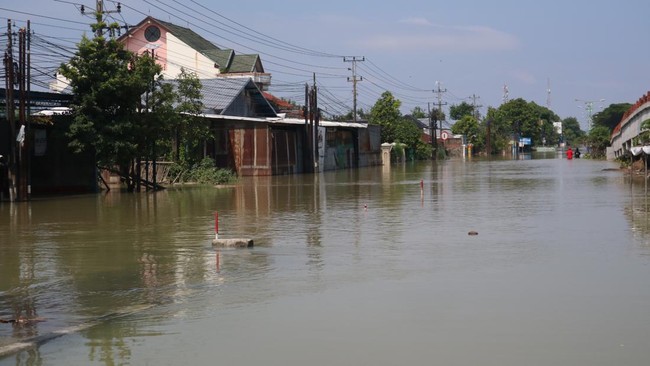 Horor Kondisi Pantura, AHY Tunjukkan Tanah di Demak Turun 20 Cm/Tahun