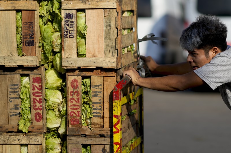 Perempuan mengumpulkan sayuran untuk dibawa pulang setelah dibuang oleh penjual di pasar di pinggiran Buenos Aires, Argentina, Rabu, 10 Januari 2024. Perempuan mengumpulkan sayuran untuk dibawa pulang setelah dibuang oleh penjual di pasar di pinggiran Buenos Aires, Argentina, Rabu, 10 Januari 2024. (AP Photo/Natacha Pisarenko)