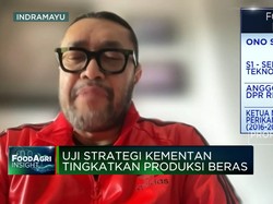 Anggaran Kementan Turun, Jokowi Tak Serius Benahi Masalah Beras Cs?