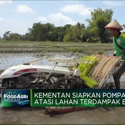 Video: Atasi Dampak El Nino Kementan Siapkan Pompanisasi