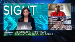 Genjot Produksi Beras, Masalah Pupuk, Irigasi-Pembiayaan Wajib Selesai
