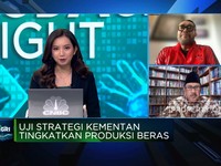 Genjot Produksi Beras, Masalah Pupuk, Irigasi-Pembiayaan Wajib Selesai