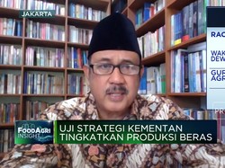 Video: Persoalan Pupuk Subsidi, Alokasi Kurang & Distribusi Bermasalah
