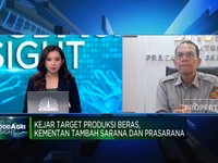 Kementan Tambah Alat & Mesin Pertanian, Yakin Produksi Beras Naik?